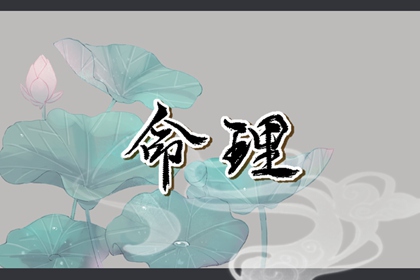 姓魏取名字 生辰五行取名 命免费起名字 今年取名大全 二胎取名 起名八字取名